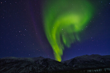 Obraz premium Northern Lights (Aurora Borealis or Polar Lights) - Dalton Highway, Alaska (USA)