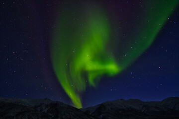 Obraz premium Northern Lights (Aurora Borealis or Polar Lights) - Dalton Highway, Alaska (USA)