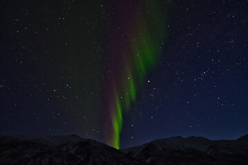 Fototapeta premium Northern Lights (Aurora Borealis or Polar Lights) - Dalton Highway, Alaska (USA)