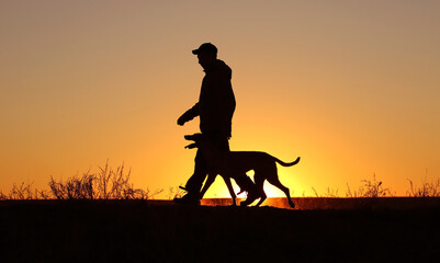 Obraz na płótnie Canvas Silhouettes of a man who trains a Malinois dog on the background of a sunset