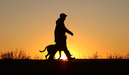 Silhouettes of a man who trains a Malinois dog on the background of a sunset