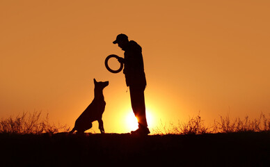 Naklejka premium Silhouettes of a man and a Malinois dog on a sunset background, a man trains a dog