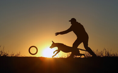 Silhouettes of a man and a dog on a sunset background, a man throws a puller to a dog