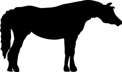 Fototapeta na wymiar Floral Horse Silhouette SVG Horse Silhouette SVG Clipart