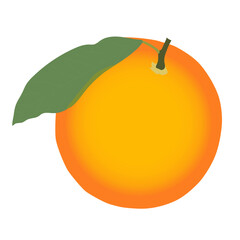 orange isolated on white background