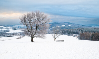 Winter, snow, zima, sníh, Bílé Karpaty