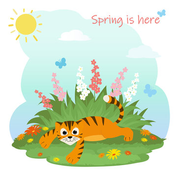 Cute tiger cub in the grass with flowers and butterflies. Concept hello spring. Symbol of the year 2022. Vector illustration of cute cartoon tiger at spring months