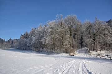 Winterwald