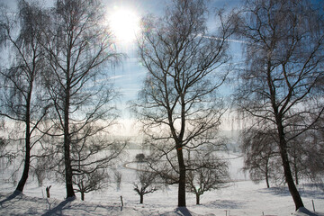 Fototapeta na wymiar Winterwald