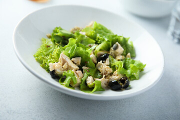 Healthy green salad with chicken and olives