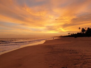Fototapeta na wymiar Beautiful sunset at the coast of sri lanka