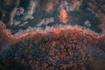 A strip of Dry Grass sets Fire to Trees in dry Forest: Forest fire - Aerial drone top view. Forest...