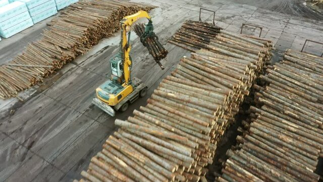 A logging machine transports logs to a stack. Loader of logs at the sawmill of coniferous trees.