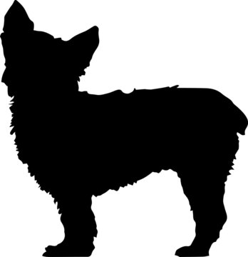 Yorkshire Terrier Dog Silhouette SVG Yorkie Silhouette