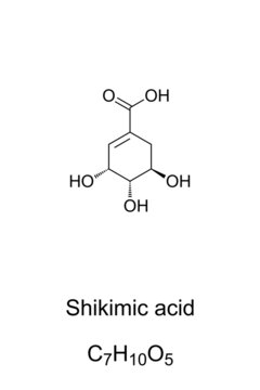 Shikimic acid, chemical formula and skeletal structure. The pharmaceutical industry uses shikimic acid from Chinese star anise, Illicium verum, as base material for production of oseltamivir, Tamiflu.