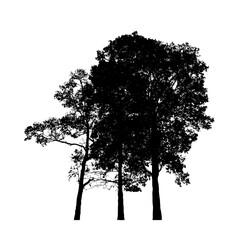 Trees silhouette for brush on white background