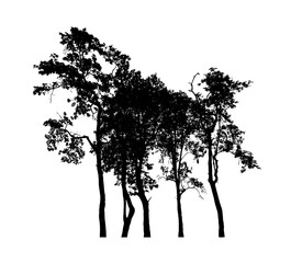 Trees silhouette for brush on white background