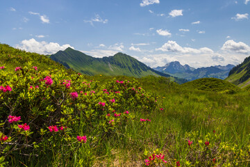 Fototapeta na wymiar Typical alpine landscape in early summer near Damuls, Vorarlberg, Austria