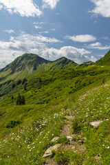 Fototapeta na wymiar Typical alpine landscape in early summer near Damuls, Vorarlberg, Austria