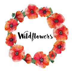 Handpainted cute watercolor wreath illustration of red poppies