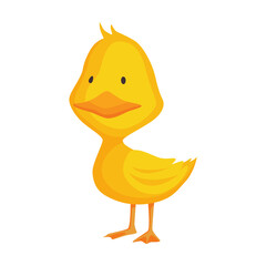 Cute chick. Baby cartoon yellow  duck. Bird child character in funny facial expression, pose and gesture for graphic design