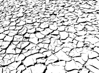 Texture of dry cracked earth. Black and white vector illustration.