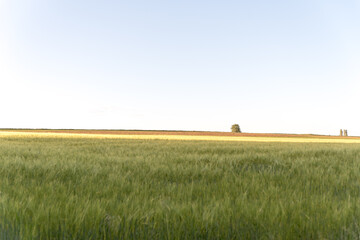 green field open area blue sky