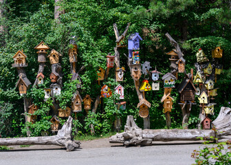 Several dozen birdhouses of all shapes, colors and styles