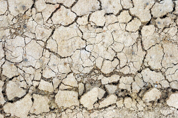 cracked earth texture