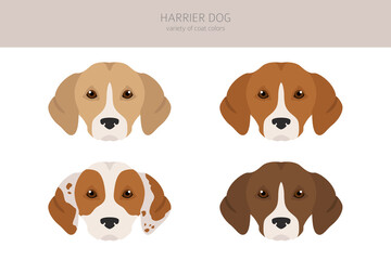 Harrier dog clipart. Different poses, coat colors set