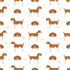 Harrier dog seamless pattern. Different poses, coat colors set