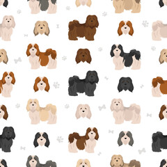 Havanese dog seamless pattern. Different poses, coat colors set