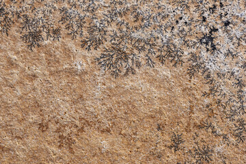 Natural Mineral Rock Manganese Dendrite Stone Texture Background