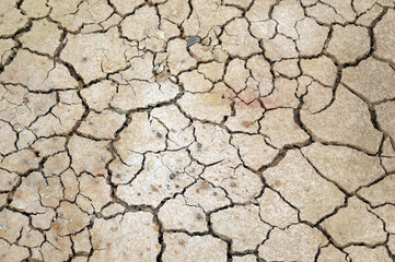 dry cracked earth