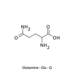 Glutamine - Gln - Q - Conditionally Essential Amino Acid simple skeletal formula and structure vector illustration, EPS 10.