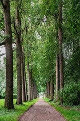Castel estate with greenery, sky and open spaces in The Netherlands, Kastel De Haar