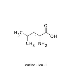 Leucine - Leu - L - Essential Amino Acid simple skeletal formula and structure vector illustration, EPS 10.