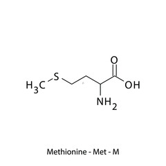 Methionine - Met - M - Essential Amino Acid simple skeletal formula and structure vector illustration, EPS 10.
