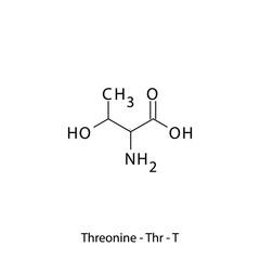 Threonine - Thr - T - Essential Amino Acid simple skeletal formula and structure vector illustration, EPS 10.