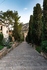 Fototapeta na wymiar Street with old buildings clear sky and greenery on an island in Spain, Mallorca, Alcudia