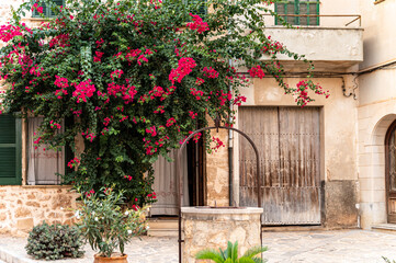 Fototapeta na wymiar Old town with roses and sandstone walls