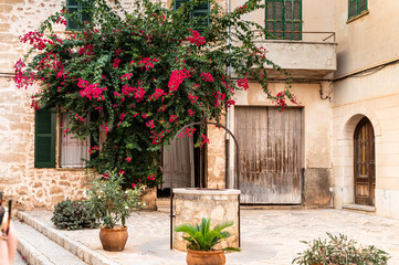 Old town with roses and sandstone walls