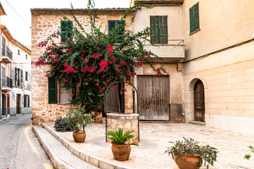 Fototapeta na wymiar Old town with roses and sandstone walls