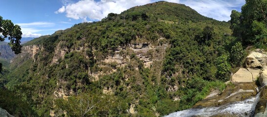 canyon howler monkeys colombia