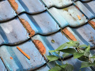 荒廃した住宅の屋根瓦