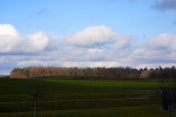 Fototapeta premium Beautiful scenic winter landscape near the airport with agricultural field cloudy sky and forest in the background. Photo taken December 3rd, 2021, Zurich, Switzerland.