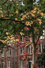 Street view with buildings and during day and canal in Amsterdam, Netherlands