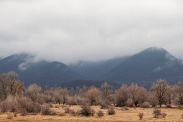 fog in the mountains