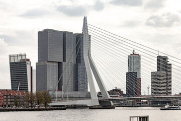 Fototapeta na wymiar Buildings and sky in Rotterdam, Netherlands