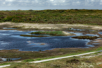 Wild nature on island of Texel, Netherlands